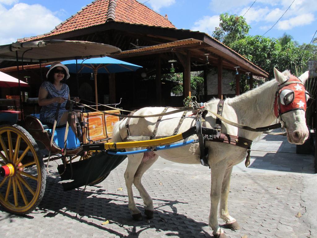 Cempaka Magelang